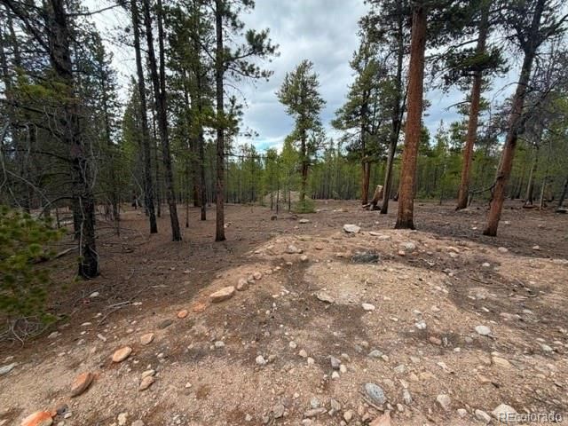 833 Peak View Drive, Twin Lakes, CO 80461