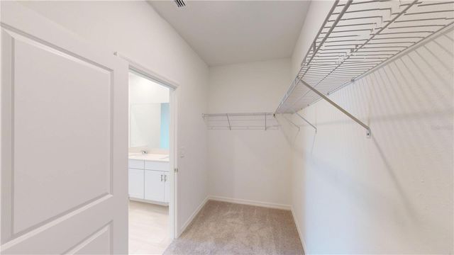 9864 DANCING GOAT PLACE, Land O Lakes, FL 34638