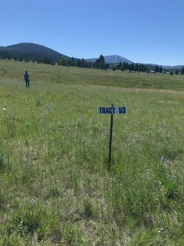 Tract 53 Whiskey Flats, Stevie Lane, Philipsburg, MT 59858 property photo