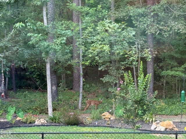 567 Dabney Woods Lane, Henderson, NC 27537