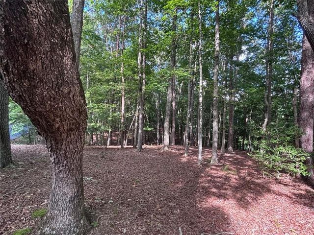 LOT 5 Westwood Avenue, Blairsville, GA 30512