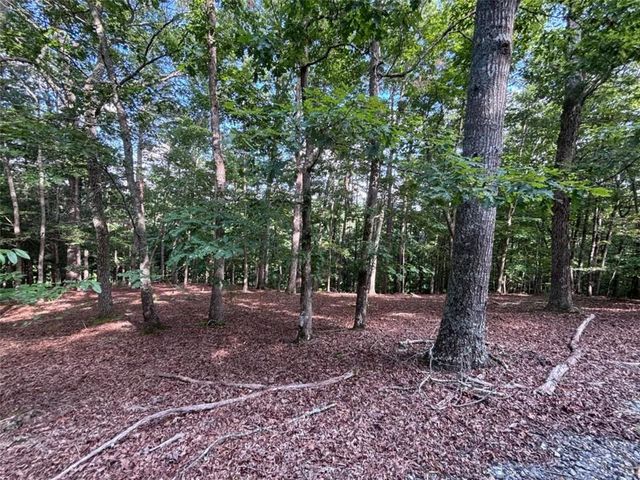 LOT 5 Westwood Avenue, Blairsville, GA 30512