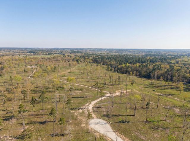 Lot 4 Johnson Drive, Livingston, TX 77351