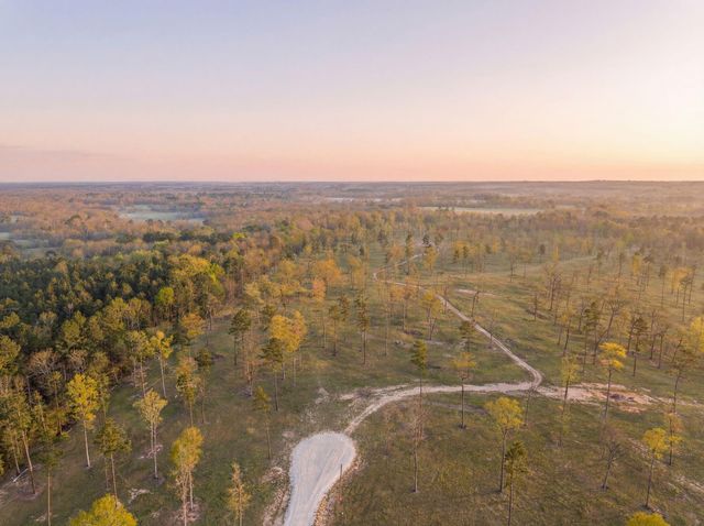 Lot 4 Johnson Drive, Livingston, TX 77351