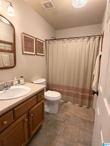 102 WET CAT ROAD, Hayden, AL 35079