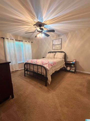 102 WET CAT ROAD, Hayden, AL 35079