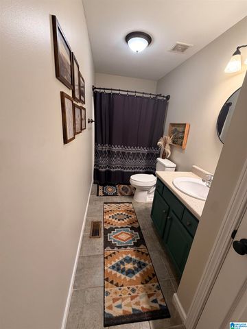 102 WET CAT ROAD, Hayden, AL 35079