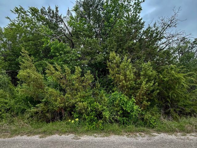 4627 Evening View Drive, Granbury, TX 76048