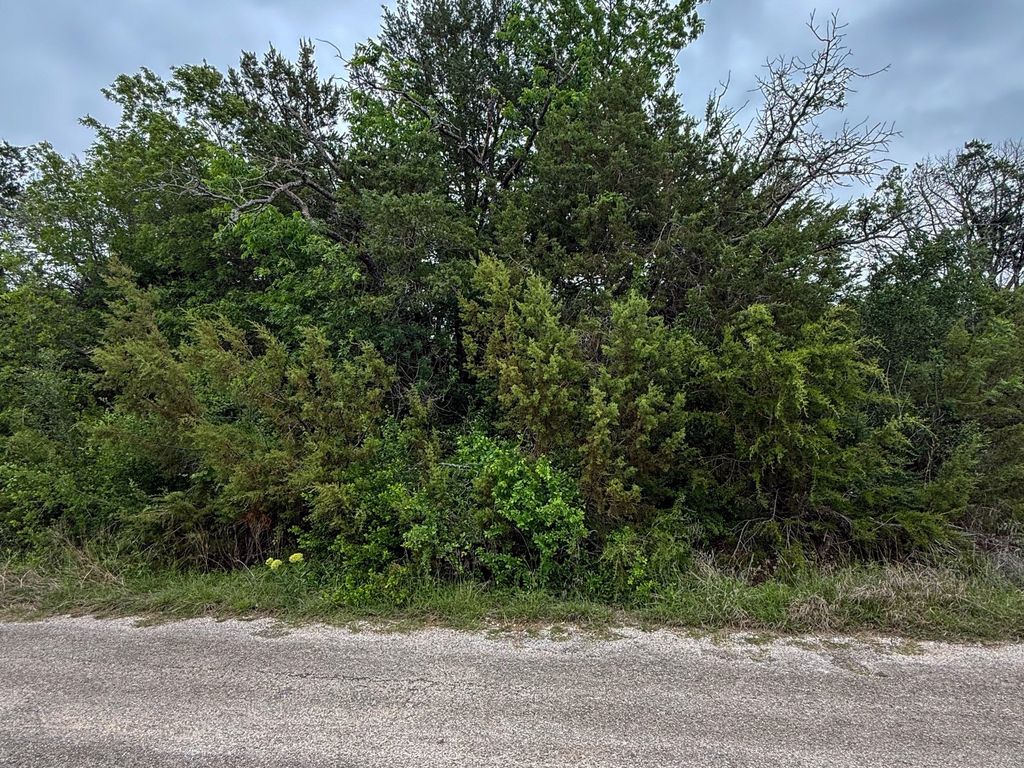 4627 Evening View Drive, Granbury, TX 76048