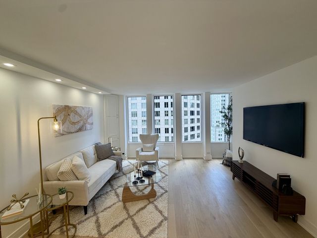 100 E Walton Street 36C, Chicago, IL 60611