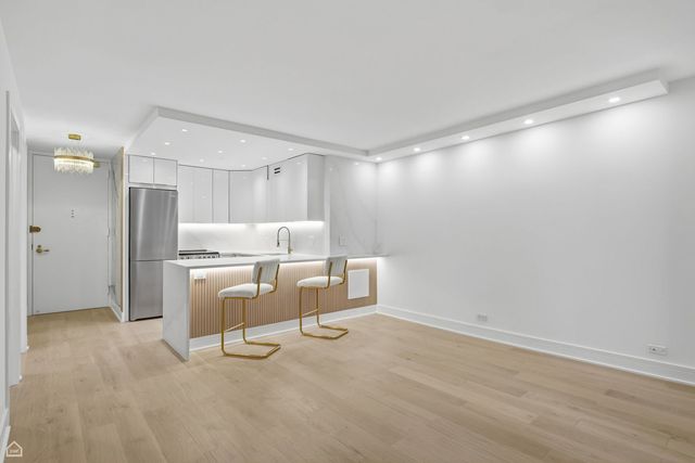 100 E Walton Street 36C, Chicago, IL 60611