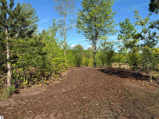 1060 E Solaris Way, Maple City, MI 49664