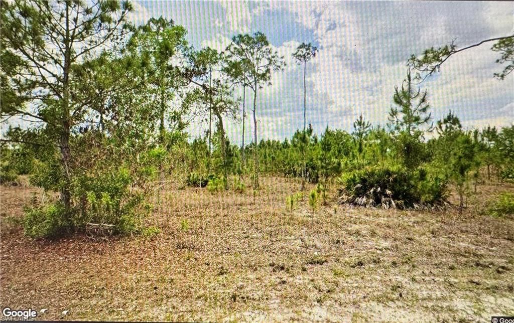 1005 Hamilton AVE, LEHIGH ACRES, FL 33972 — photo 3