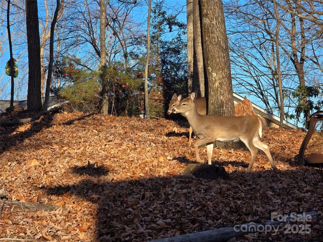 10 Chestnut Ridge Road, Mills River, NC 28759