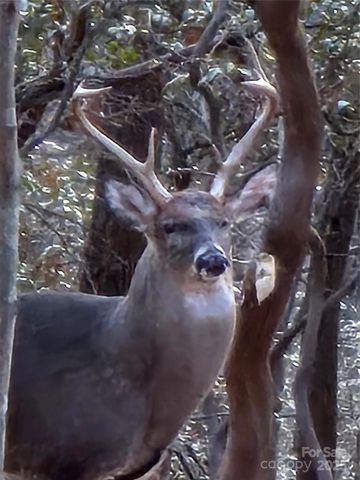 10 Chestnut Ridge Road, Mills River, NC 28759