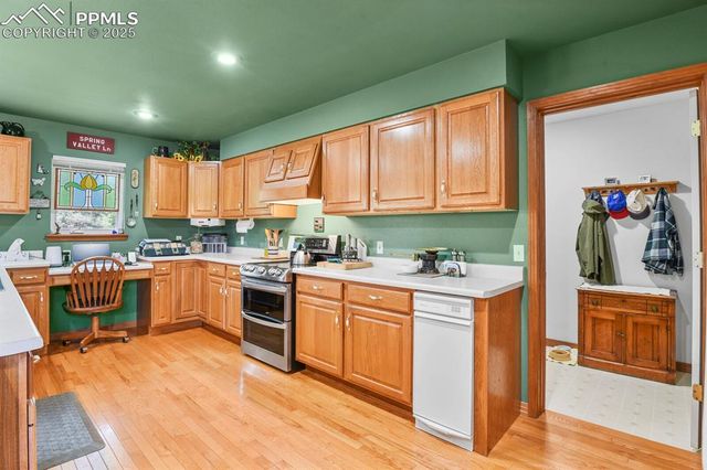 938 Spring Valley Lane, Florissant, CO 80816