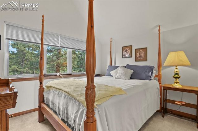 938 Spring Valley Lane, Florissant, CO 80816