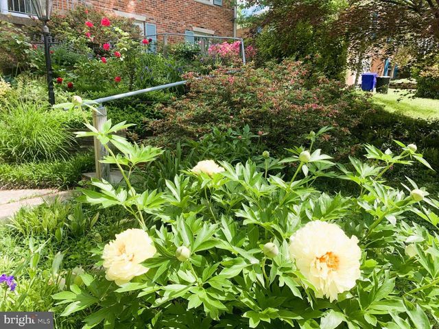 5807 OGDEN CT, Bethesda, MD 20816