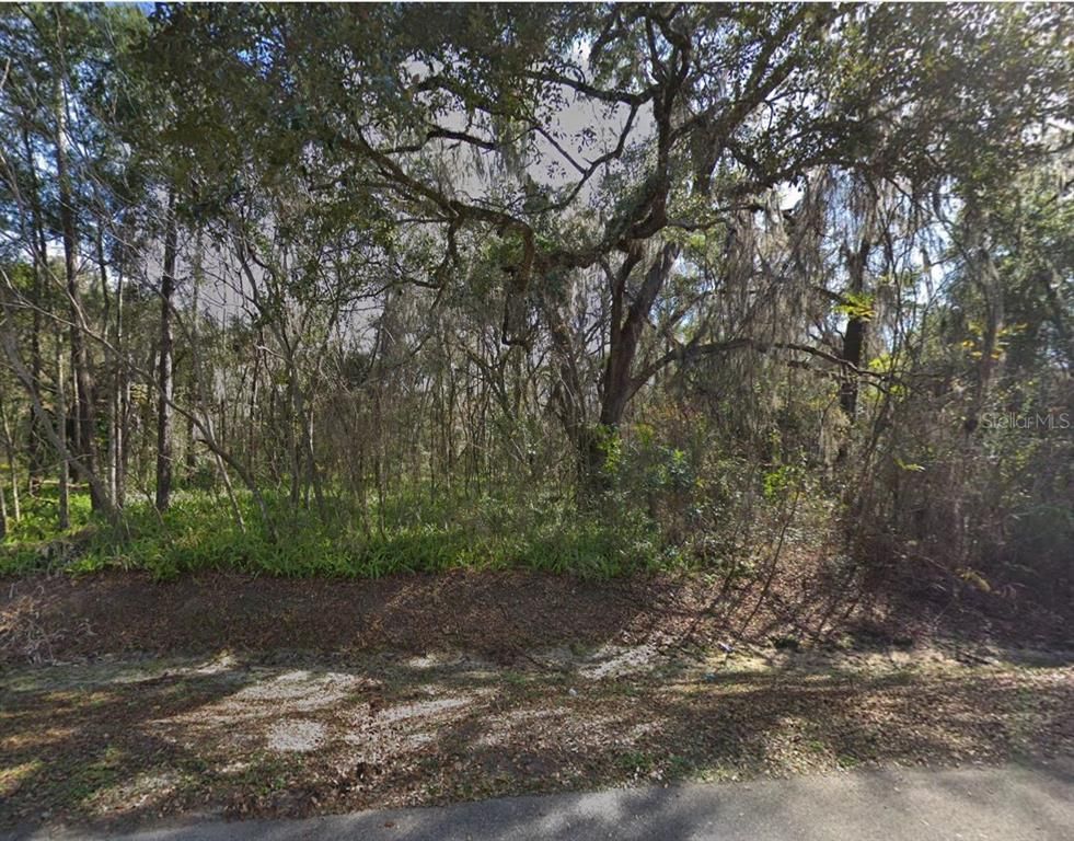 Lot 48 DECATUR AVENUE, Brooksville, FL 34601