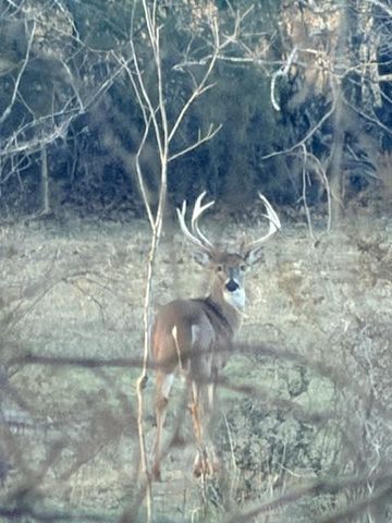 1350 County Road 405, Alton, MO 65606