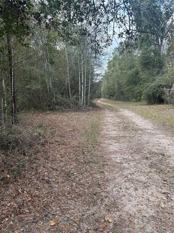 TBD Firetower, Conroe, TX 77306