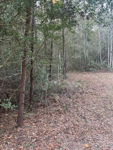 TBD Firetower, Conroe, TX 77306
