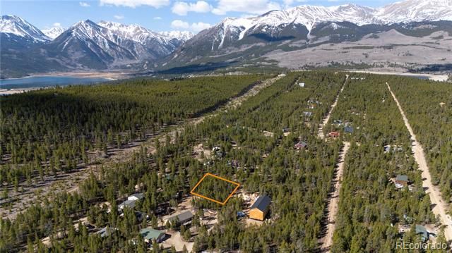 340 Hemlock Drive, Twin Lakes, CO 80461