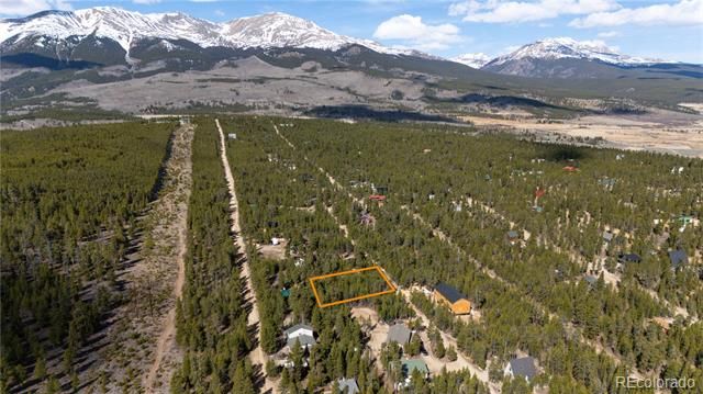 340 Hemlock Drive, Twin Lakes, CO 80461