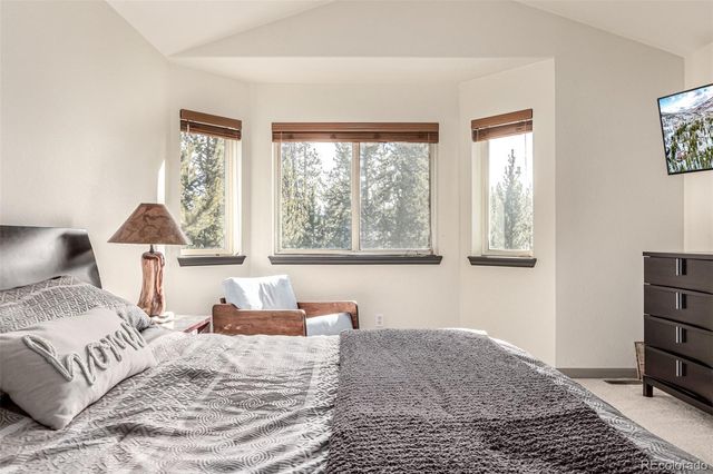 308 Red Hawk Circle, Silverthorne, CO 80498