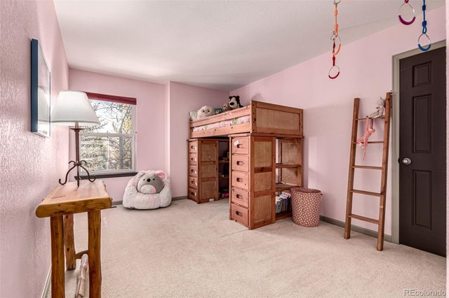 308 Red Hawk Circle, Silverthorne, CO 80498