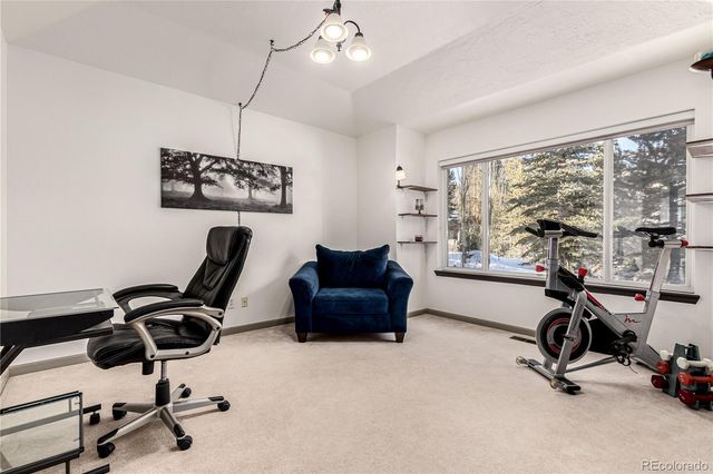 308 Red Hawk Circle, Silverthorne, CO 80498