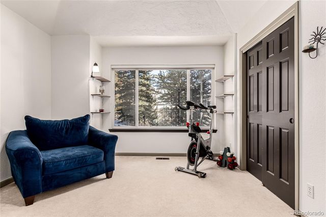 308 Red Hawk Circle, Silverthorne, CO 80498