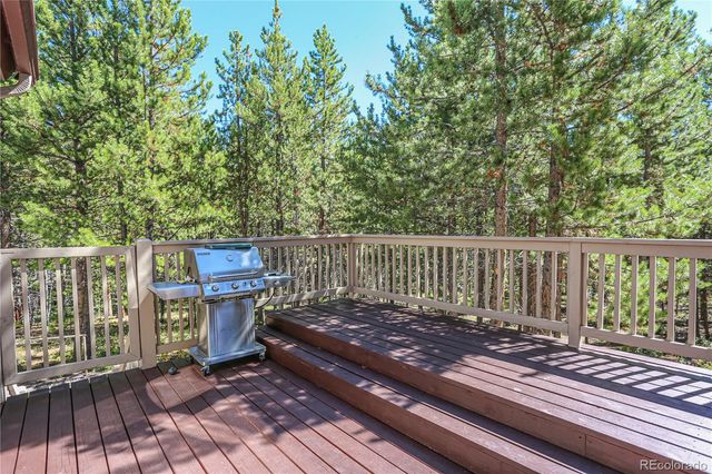 308 Red Hawk Circle, Silverthorne, CO 80498