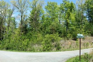 Tract 5 Ginseng LN, Callaway, VA 24067
