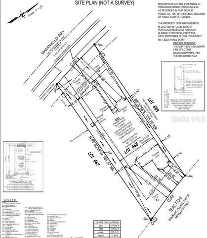 3888 MASANIELLO WAY, Wesley Chapel, FL 33543