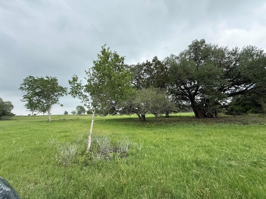 5719-5 Farm To Market 2238, Schulenburg, TX 78956