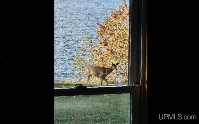 14998 N Superior Road, Houghton, MI 49931