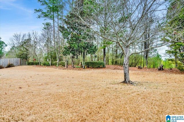 1101 GRANDE VIEW RIDGE, Alabaster, AL 35114