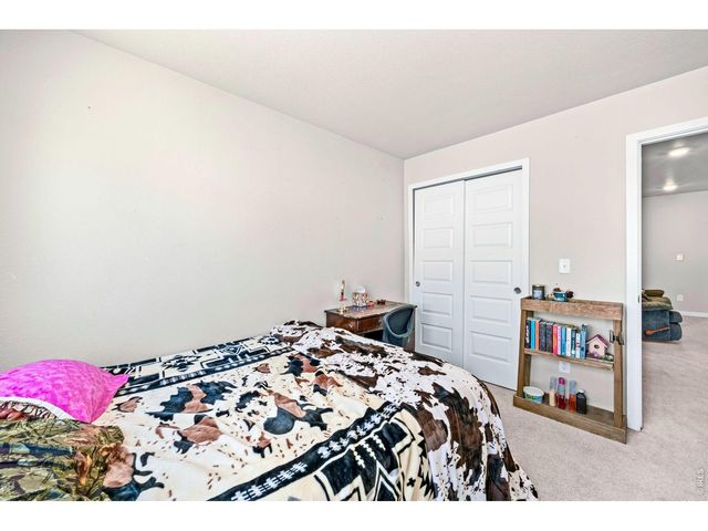 620 Apache Trl C2, Ault, CO 80610