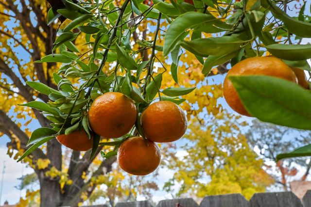 64 E Noble St, Stockton, CA 95204