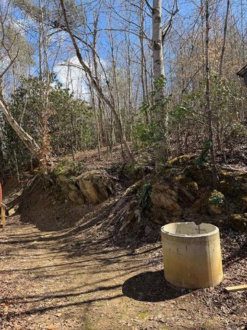 3086 E Old Hwy 64e, Hayesville, NC 28904