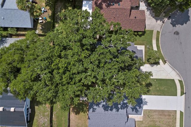 3457 MARTINGALE COURT, Port Orange, FL 32129
