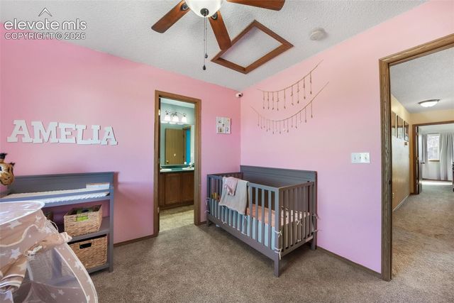 4412 Bramble Lane, Colorado Springs, CO 80925