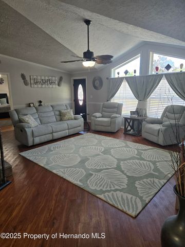 9223 Basil Street, Brooksville, FL 34613