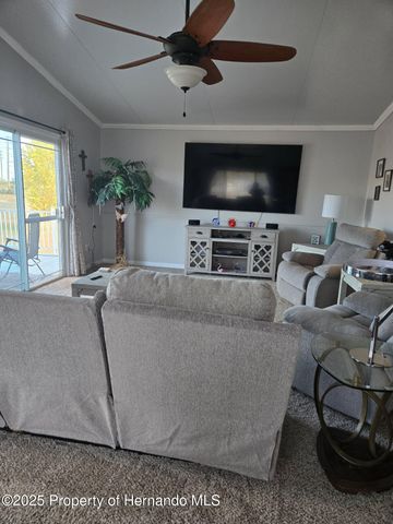 9223 Basil Street, Brooksville, FL 34613