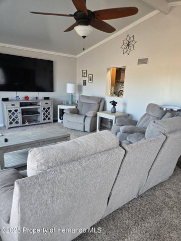 9223 Basil Street, Brooksville, FL 34613