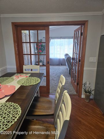 9223 Basil Street, Brooksville, FL 34613