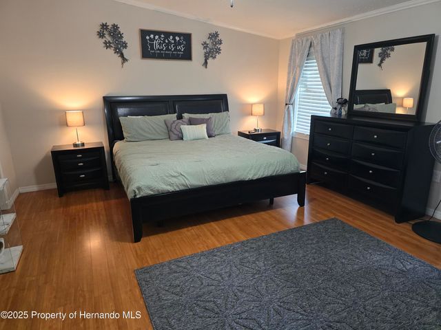 9223 Basil Street, Brooksville, FL 34613