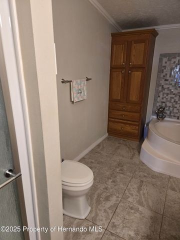 9223 Basil Street, Brooksville, FL 34613