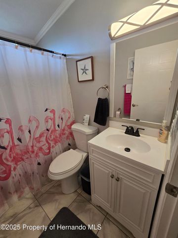 9223 Basil Street, Brooksville, FL 34613